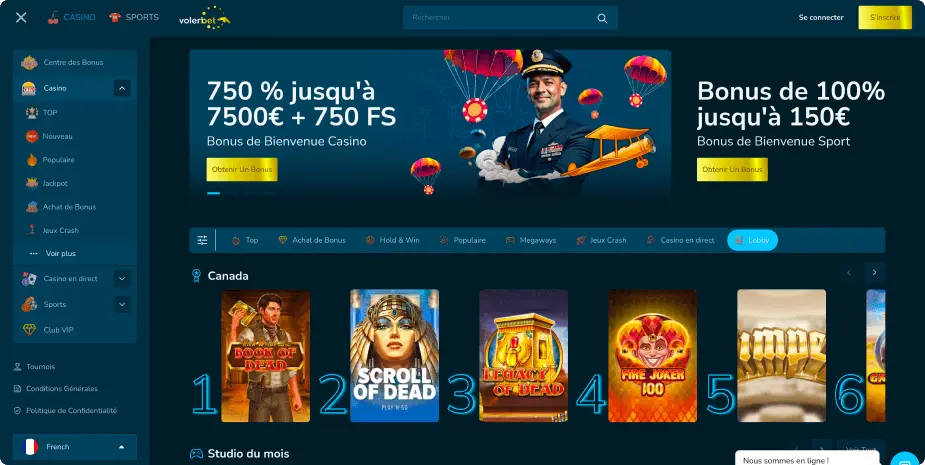 Volerbet Casino banner